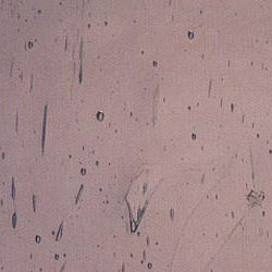 altd-brons altd-brons