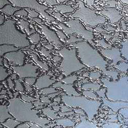 delmatblank delmatblank