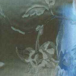 orchidblank orchidblank